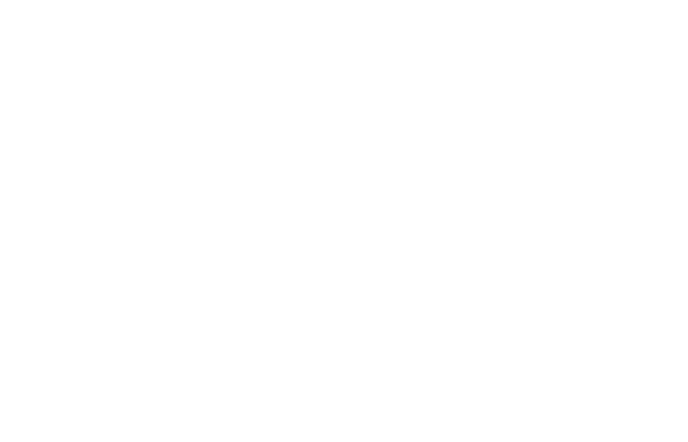 Logo White